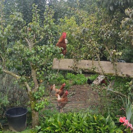 Bienvenue Chez Joelle Et Andre Au 207 Bed and Breakfast Balaze Εξωτερικό φωτογραφία